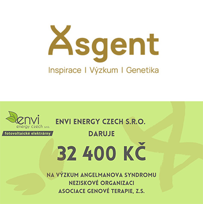 Asociace genové terapie